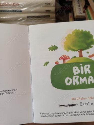 BİR ORMAN 