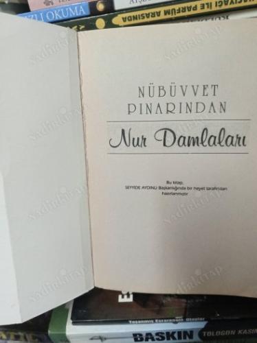 NÜBÜVVET PINARINDA NUR DAMLALARI