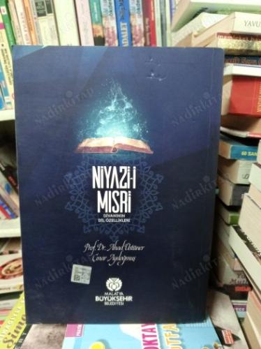 NİYAZÎ-İ MISRİ DİVANININ DİL ÖZELLİKLERİ
