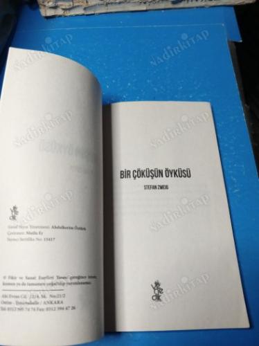 BİR ÇÖKÜŞÜN ÖYKÜSÜ