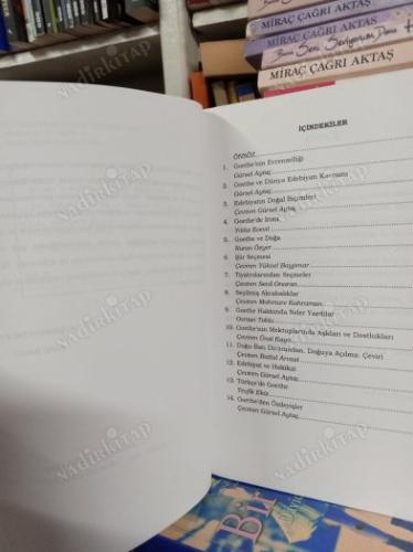 DOĞUMUNUN 250. YILINDA GOETHE