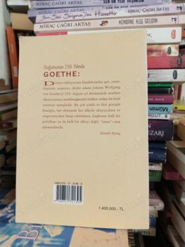 DOĞUMUNUN 250. YILINDA GOETHE