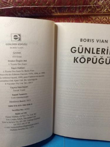 GÜNLERİN KÖPÜĞÜ