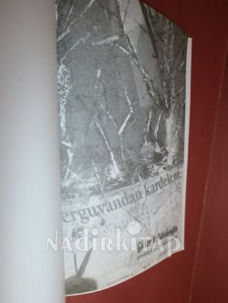 ERGUVANDAN KARDELENE