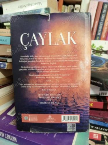 AV SERİSİ 2 - ÇAYLAK