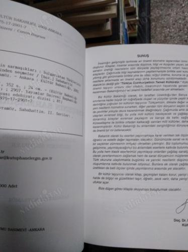 Türkçenin Sarmaşıkları - Bulgaristan Türklerinin Şiirinden Seçmeler
