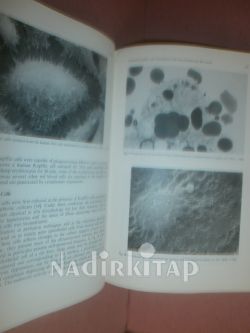 CLİNİCAL HEPATOLOGY