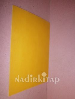 VİRAL HEPATİT TİP B** İKİNCİ BASIM