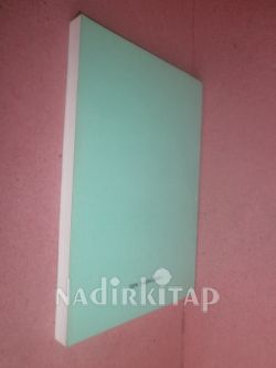Pharmacological Evaluation of the