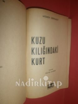 KUZU KILIĞINDAKİ KURT