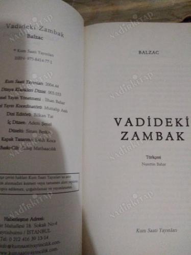VADİDEKİ ZAMBAK