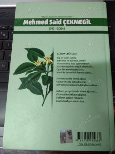 MEHMED SAİD ÇEKMEGİL (1921-2004)