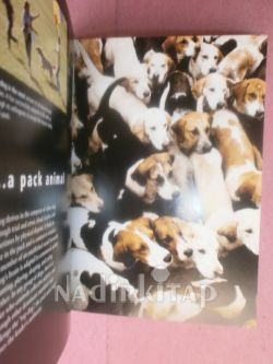 DOG OWNERS MANUAL
