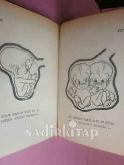 YAŞAMIN RERKLERİ