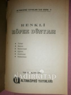 RENKLİ KÖPEK DÜNYASI