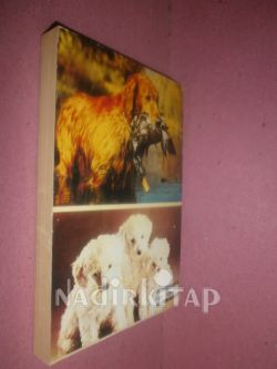 RENKLİ KÖPEK DÜNYASI