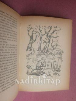ELSA UND İHR ROTFUCHS