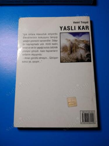 YASLI KAR