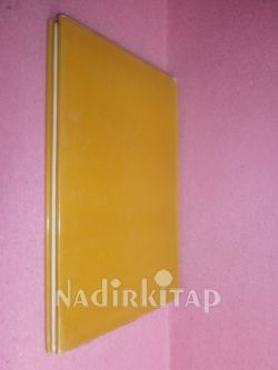 AUTHORİTY PRİORİTY AND HUMAN DEVELOPMENT
