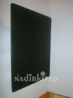 OF THE HANDİCAPPED İN DENMARK