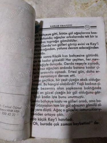 Karlar Kraliçesi - Mimoza Dizisi 13