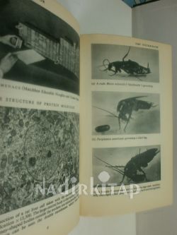 PENGUİN SCİEN SURVEY 1961