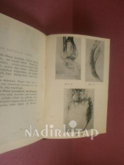 ÖZEL HUSUSİ CERRAHİ -- CHİRURGİE