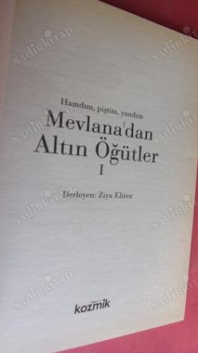 HAMDIM, PİŞTİM, YANDIM MEVLANA'DAN ALTIN ÖĞÜTLER