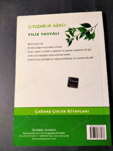 ÇİTLEMBİK AĞACI
