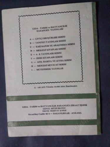 SAĞMAL İNEKLERİN BESLEME VE BAKIMI