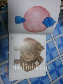DÖNÜŞ FATİH MİKA