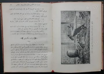 Seyyah Gögerçinler