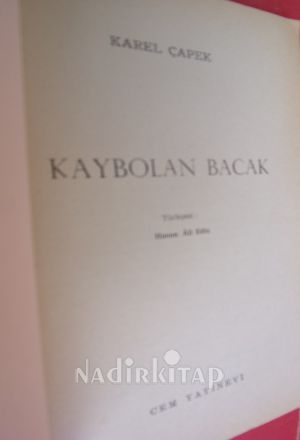 KAYBOLAN BACAK
