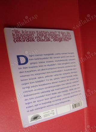 AŞK MELEĞİNİN İŞLERİ