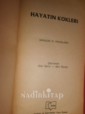 HAYATIN KÖKLERİ