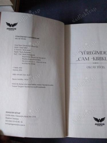 Yüreğimdeki Cam Kırıkları