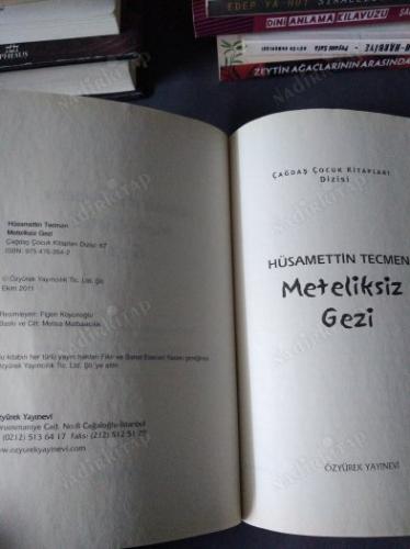 Meteliksiz Gezi