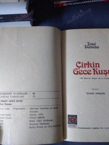 Çirkin Gece Kuşu