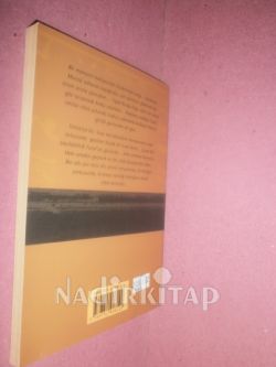 Gümüşlü Martı