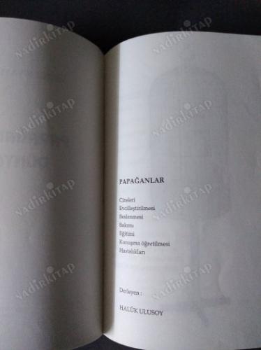 PAPAĞANLAR DÜNYASI