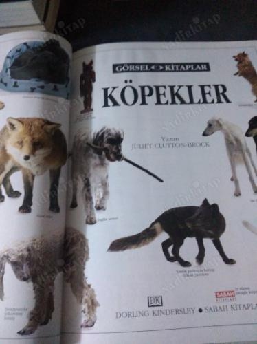 GÖRSEL KİTAPLAR - KÖPEKLER - CİLTLİ