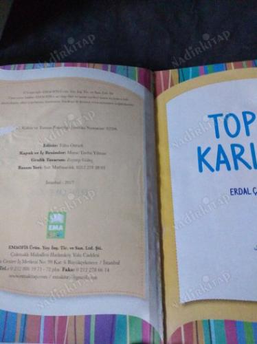 TOPAL KARINCA