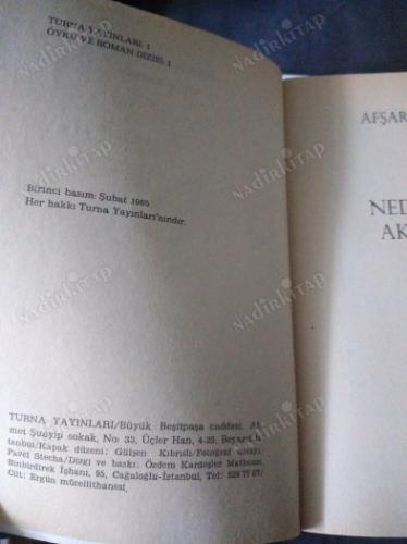 NEDEN BAZI AKŞAMLAR-ÖYKÜLER