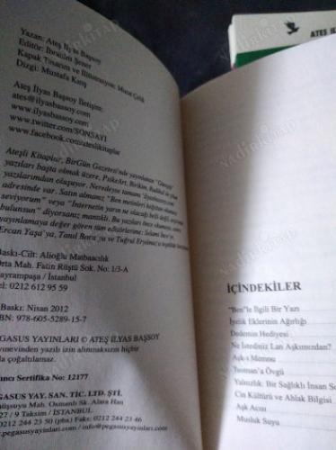 Ne İstediniz Lan Aşkımızdan