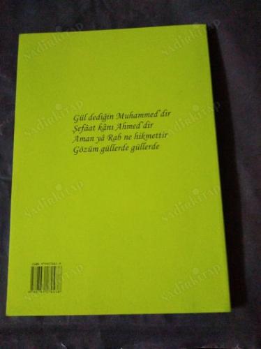 EFENDİM MEVLİD