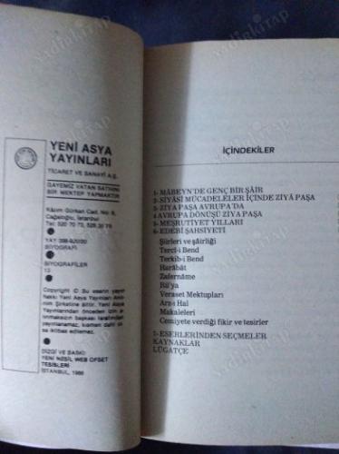Ziya Paşa - Hayatı, Sanatı, Fikirleri