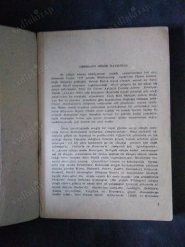 hermann hesse'nin mektupları seçmeler