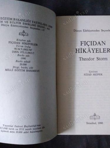 FIÇIDAN HİKAYELER