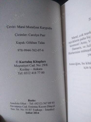 Bir Saray Var