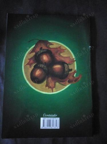 TANRI'NIN MUCİZESİ -ORMAN